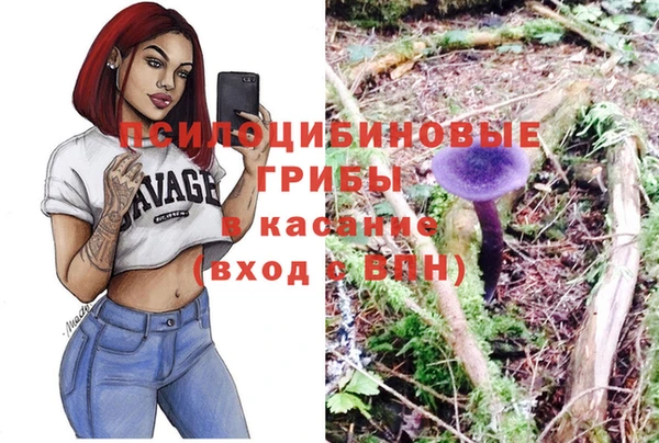 бутират Осинники